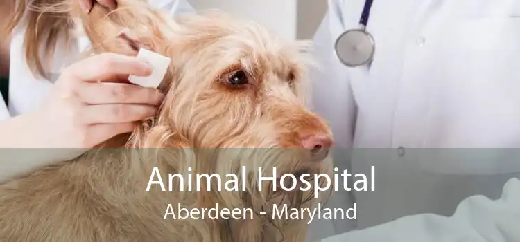 Animal Hospital Aberdeen - Maryland