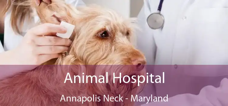 Animal Hospital Annapolis Neck - Maryland