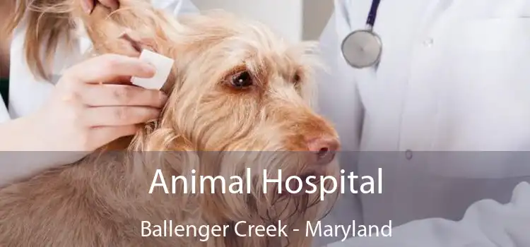 Animal Hospital Ballenger Creek - Maryland