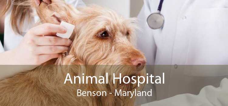 Animal Hospital Benson - Maryland
