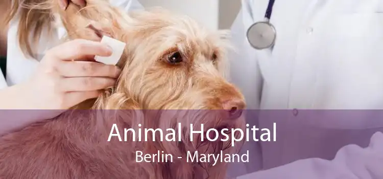 Animal Hospital Berlin - Maryland