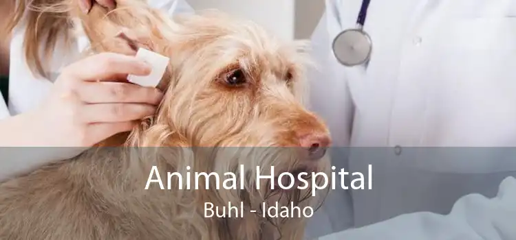 Animal Hospital Buhl - Idaho