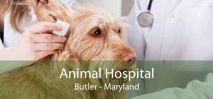 Animal Hospital Butler - Maryland