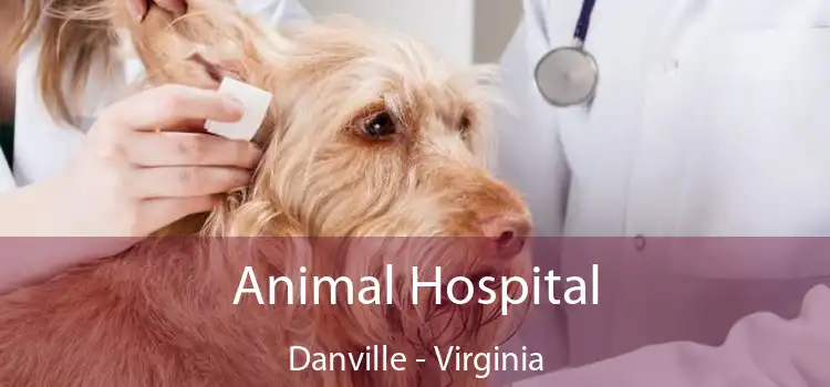Animal Hospital Danville - Virginia