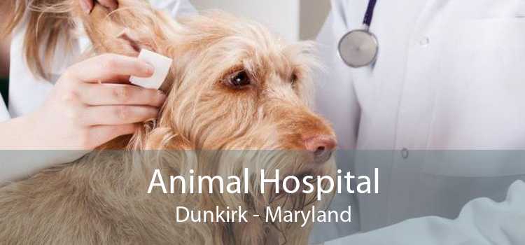 Animal Hospital Dunkirk - Maryland