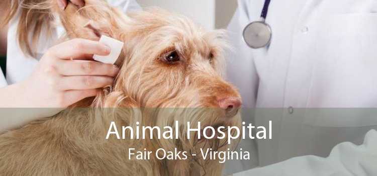 Animal Hospital Fair Oaks - Virginia