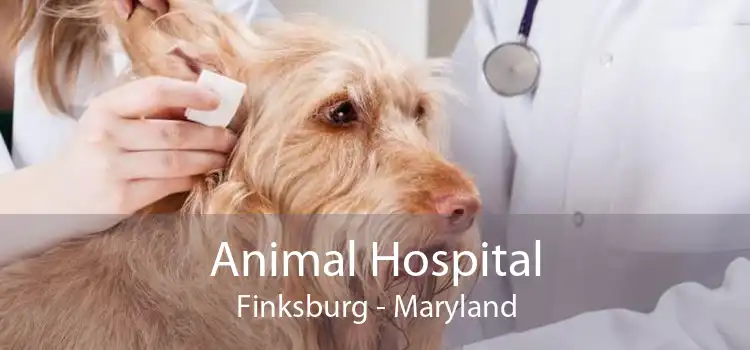 Animal Hospital Finksburg - Maryland