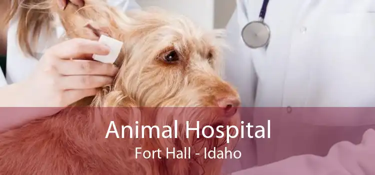 Animal Hospital Fort Hall - Idaho