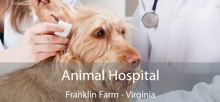 Animal Hospital Franklin Farm - Virginia