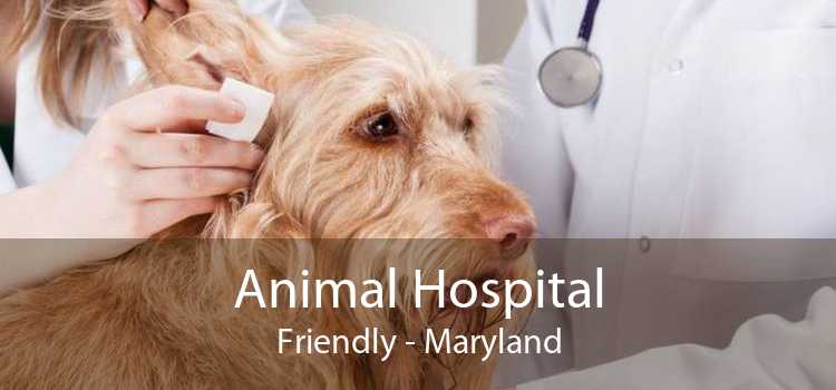 Animal Hospital Friendly - Maryland