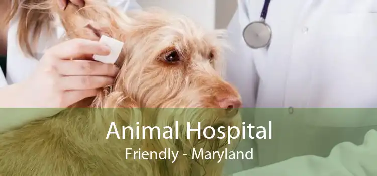Animal Hospital Friendly - Maryland