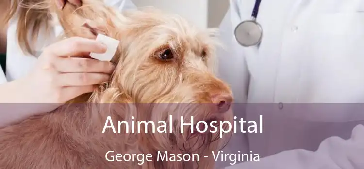 Animal Hospital George Mason - Virginia