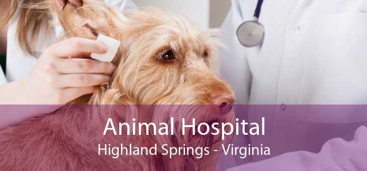 Animal Hospital Highland Springs - Virginia