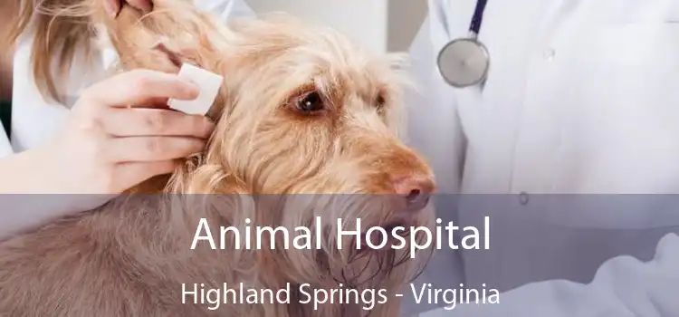 Animal Hospital Highland Springs - Virginia