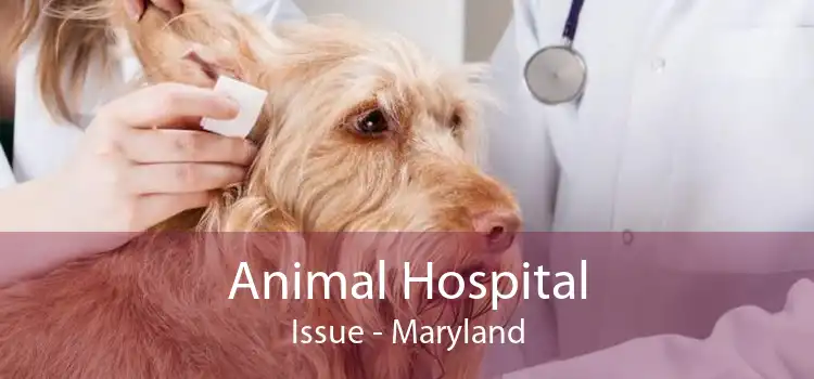 Animal Hospital Issue - Maryland