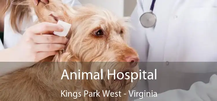 Animal Hospital Kings Park West - Virginia