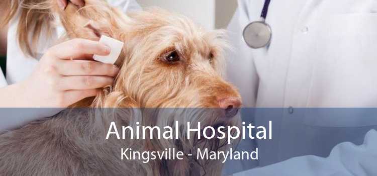 Animal Hospital Kingsville - Maryland