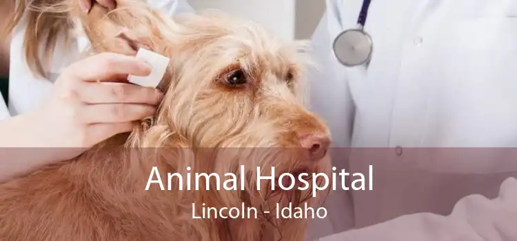 Animal Hospital Lincoln - Idaho