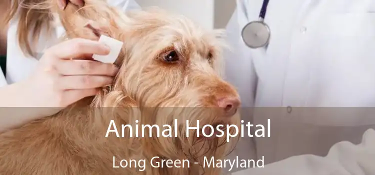 Animal Hospital Long Green - Maryland