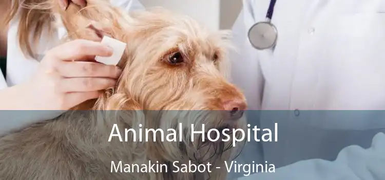 Animal Hospital Manakin Sabot - Virginia