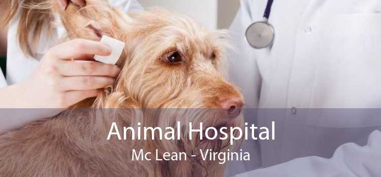 Animal Hospital Mc Lean - Virginia