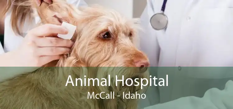 Animal Hospital McCall - Idaho