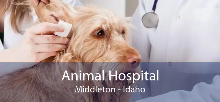 Animal Hospital Middleton - Idaho