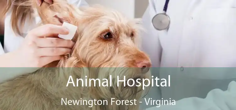 Animal Hospital Newington Forest - Virginia