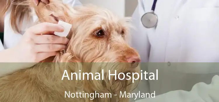 Animal Hospital Nottingham - Maryland