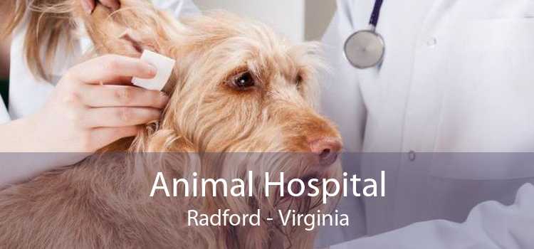Animal Hospital Radford - Virginia