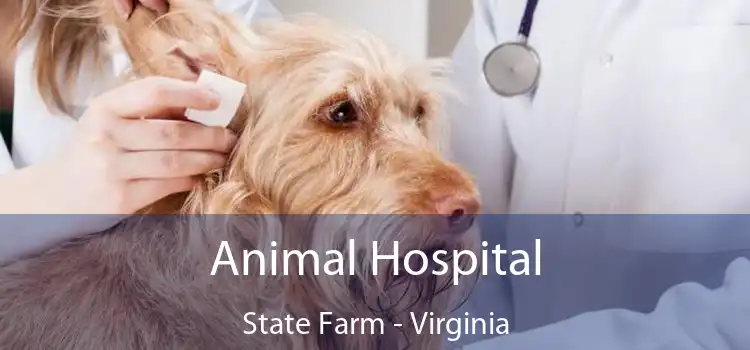 Animal Hospital State Farm - Virginia