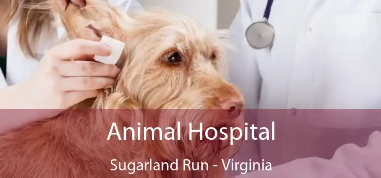 Animal Hospital Sugarland Run - Virginia