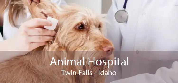 Animal Hospital Twin Falls - Idaho