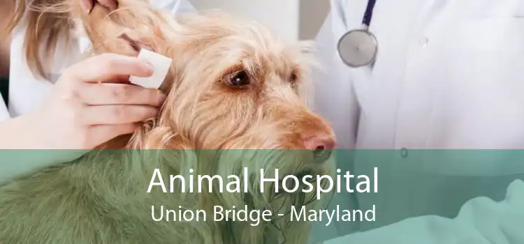 Animal Hospital Union Bridge - Maryland
