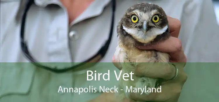 Bird Vet Annapolis Neck - Maryland