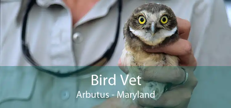 Bird Vet Arbutus - Maryland