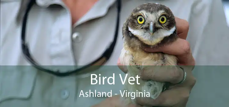 Bird Vet Ashland - Virginia