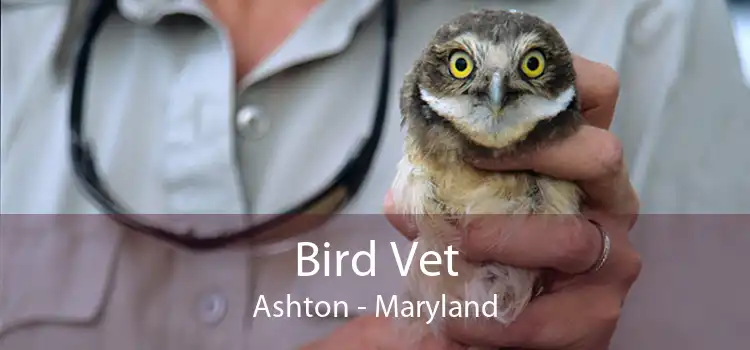 Bird Vet Ashton - Maryland