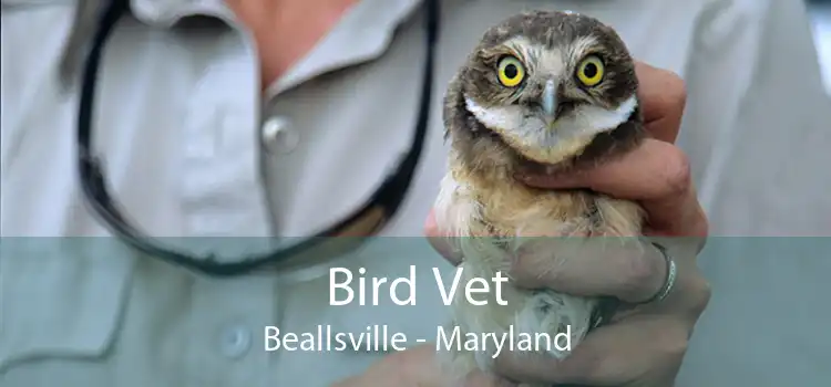 Bird Vet Beallsville - Maryland