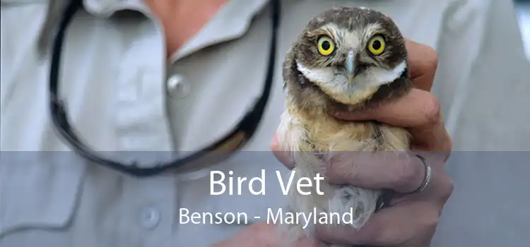 Bird Vet Benson - Maryland
