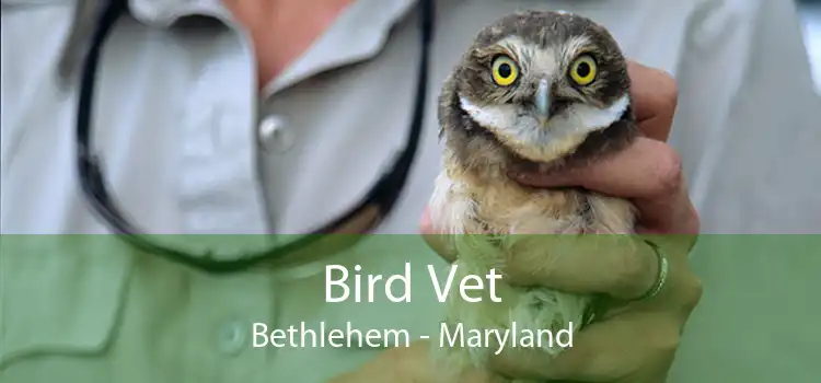 Bird Vet Bethlehem - Maryland