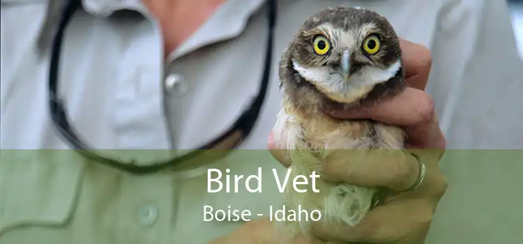 Bird Vet Boise - Idaho