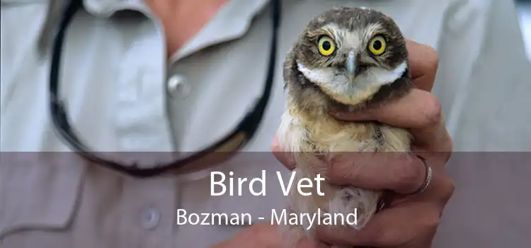 Bird Vet Bozman - Maryland