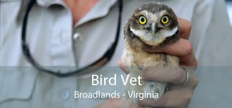 Bird Vet Broadlands - Virginia