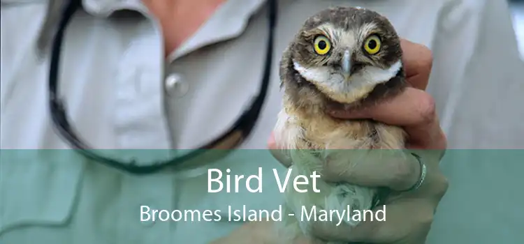 Bird Vet Broomes Island - Maryland