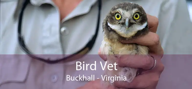Bird Vet Buckhall - Virginia