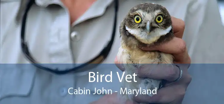 Bird Vet Cabin John - Maryland