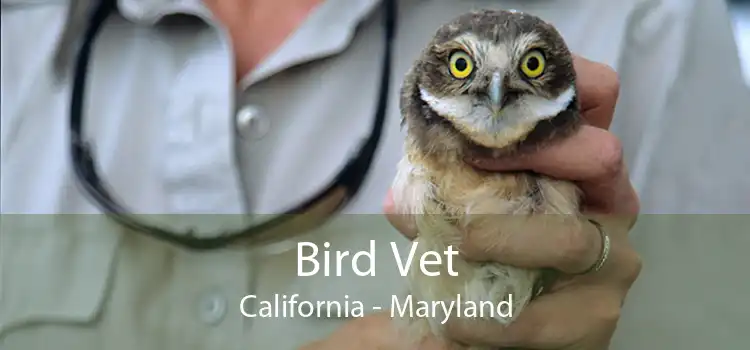 Bird Vet California - Maryland