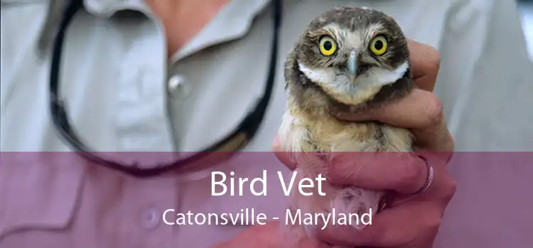 Bird Vet Catonsville - Maryland