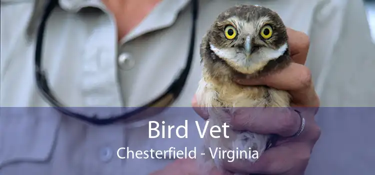 Bird Vet Chesterfield - Virginia